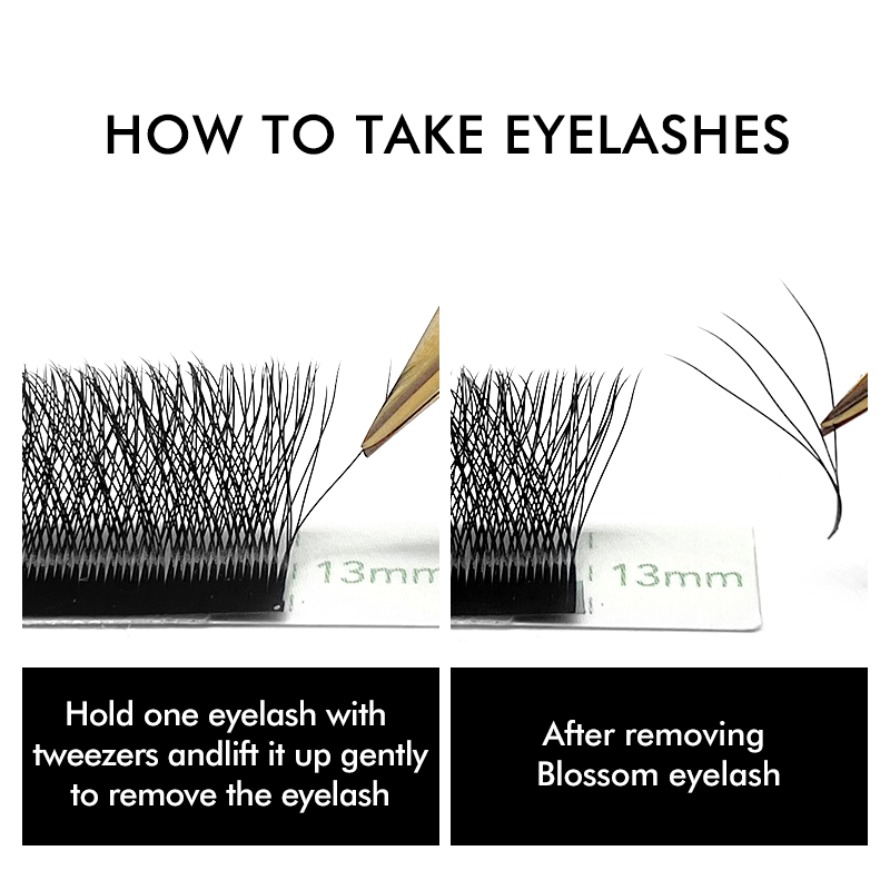 NATUHANA W-Shaped 4D 5D Volume - Eyelash Extension Human Hair review and price